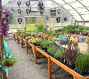 Rainier View nursery