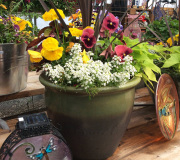 Flower pots in nursery