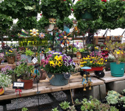 Rainier View nursery